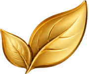 Decorative golden leaf