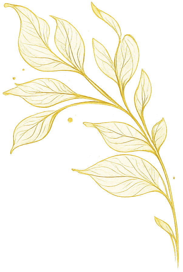 Decoration