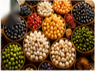 Pulses, Legumes & Beans