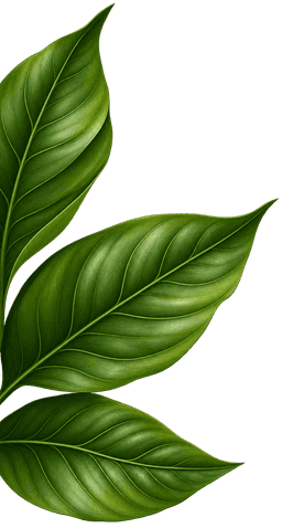 Decorative Leaf