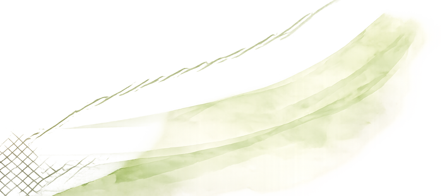 Organic Decoration Bottom Right
