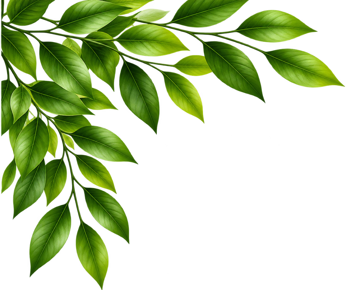 Organic Leaf Top Left