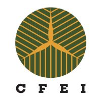 CFEI